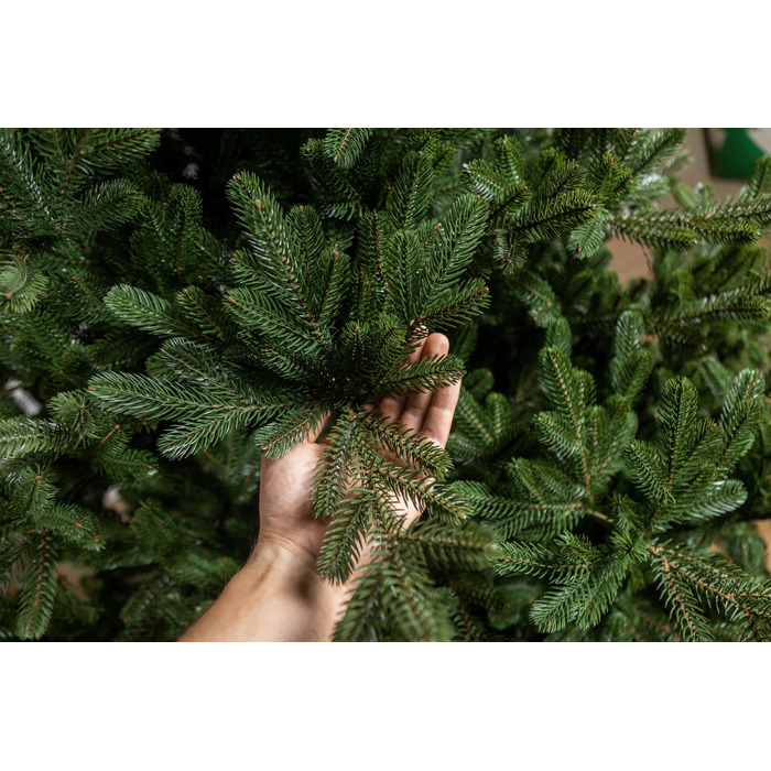 Ялинка лита 'Міланська' ПАРАСОЛЬКА ЗЕЛЕНА 2,10м