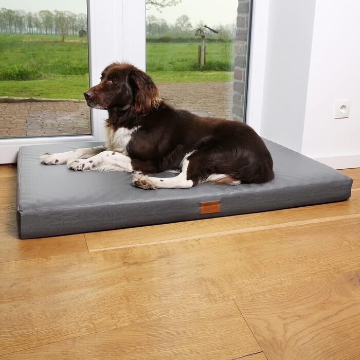 Ваш ортопедичний лежак для собак GEAR Biella 120x80x10 см, килимок для собак, подушка для собак, Oeko-TEX, миється.