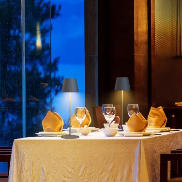 LED настільна лампа MALUX бездротова з торшевим керуванням, регулювання яскравості, тепле біле світло 2700K-4000K, метал, акумулятор, водонепроникність IP54, для саду, їдальні, спальні, робочого кабінету, балкону, готелю (темно-сірий)