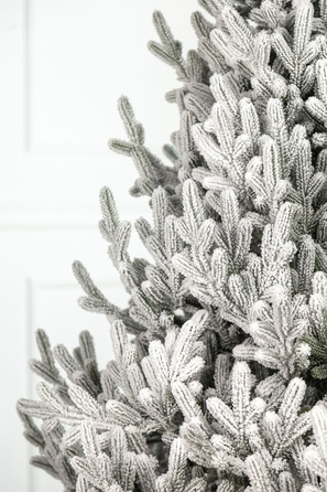 Ялинка лита 'Віденська' ЗАСНІЖЕНА 2,30м