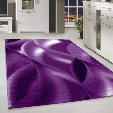 Домашній килим з коротким ворсом, килим для вітальні з візерунком тіней, світло-сірий в дрібну клітку, Розмір (80x300 см, фіолетовий)