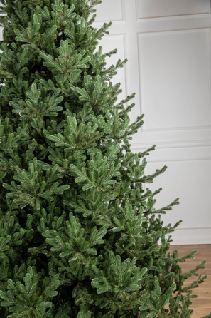 Ялинка лита 'Міланська' ПАРАСОЛЬКА ЗЕЛЕНА 2,10м