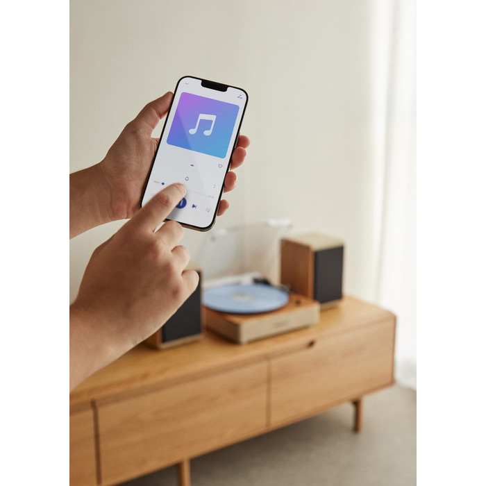 Програвач вінілу CREATE Salbeigrün з Bluetooth, USB, SD, MicroSD, Mp3, натуральне дерево, PRO