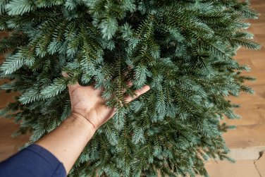 Ялинка лита 'Аляска' ПАРАСОЛЬКА ЗЕЛЕНА 2,10м