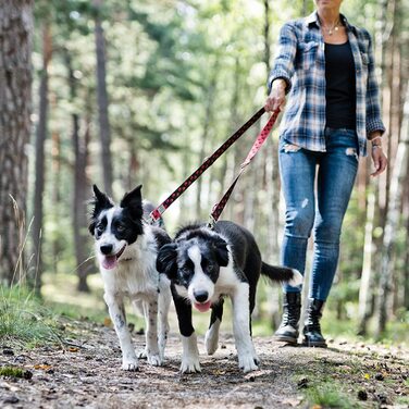 Повідець для собак Beddog віллі, регульований на 3 довжини, подвійний повідець, повідець для вигулу, повідець для вигулу, поводок для собак середнього і великого розміру, загальна довжина 2 м - (2 м/25 мм, червоний / чорний)