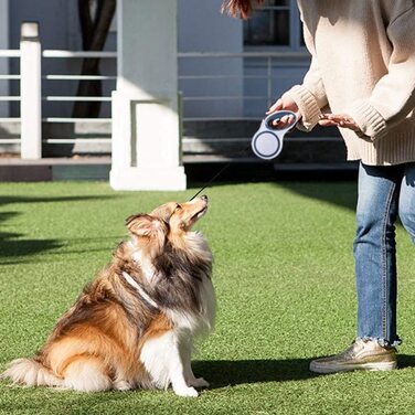 Висувний повідець ABERPOR довжиною 3 м для маленьких і великих собак вагою до 10 кг, з засувкою і засувкою однією кнопкою, міцний, не заплутується, для тренувань, бігу, прогулянок