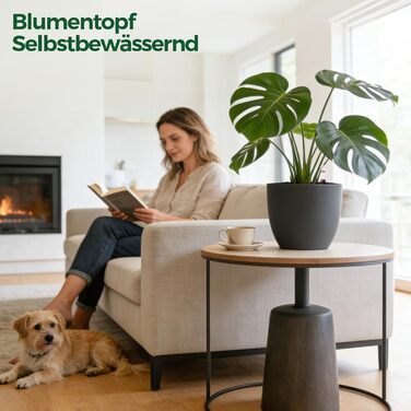 Автополив горщик з індикатором рівня води, 2 шт. - практичний горщик для квітів для зайнятих початківців та садівників, підходить для монстери/розмарину, для дому та саду (сірий, 20 см)