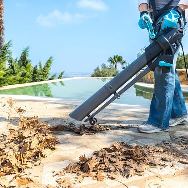 Cecotec Airforce 3300 Crush&Go: електропилосос та подрібнювач листя, 3300 Вт, 270 км/год, XL-насадка, 6 швидкостей, мішок 40 л