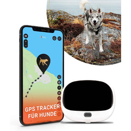 Трекер для собак-відстеження в реальному часі - Безпека для собак-водонепроникність IP67 (4G - для собак-білий), 4G-GPS-