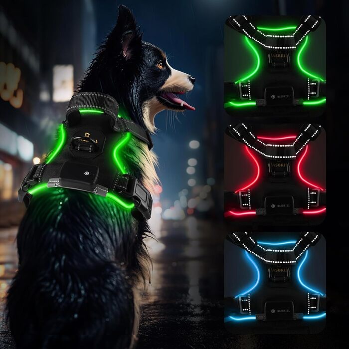 Шлейка для собак, що світиться, акумуляторна, світлодіодна шлейка для собак, регульована світловідбиваюча з ручкою, м'яка м'яка нагрудна шлейка з підсвічуванням для малих, середніх і великих собак (зелений XL)
