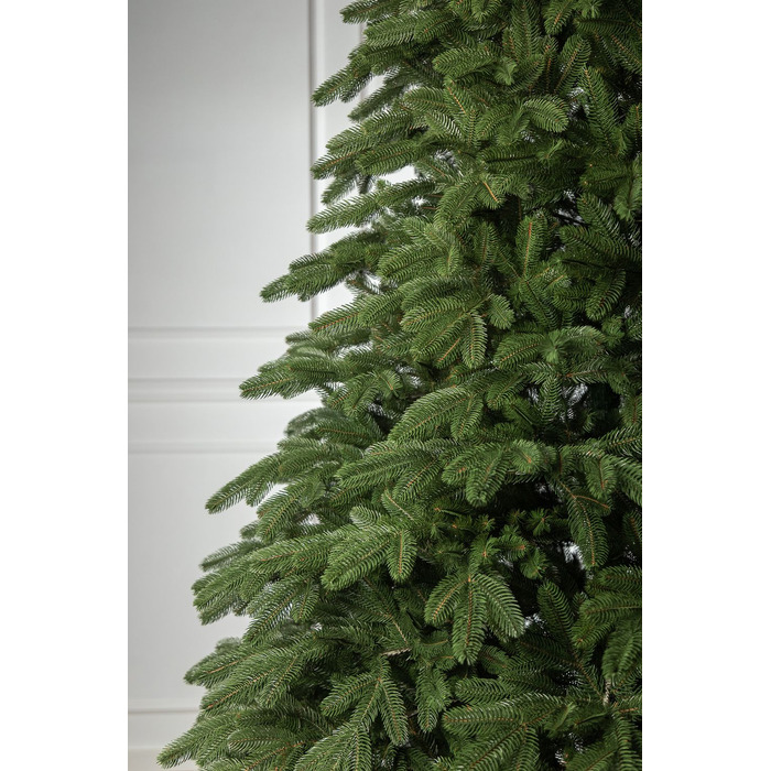 Ялинка лита 'Лапландська' ПАРАСОЛЬКА ЗЕЛЕНА 3,00м