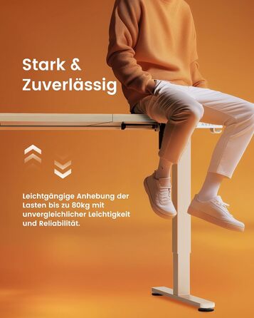 Електричний регульований стіл ErGear 160x80 см з пам'яттю, для дому та офісу, з'єднувальна панель 120x60 см, світле вінтажне дерево