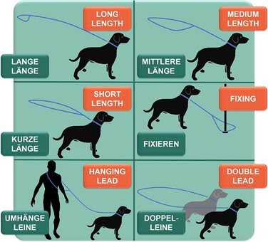 Повітряна сітка для собак DEY-преміум-класу, 2 м, Регульована в 3 рази, для маленьких, середніх і великих собак, багато квітів, подвійний повідець для собак, кішок, щеня, повідець, повідець для цуценят, S (S/M - 2,0 x 200 см, чорний)
