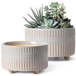 Набір горщиків для сукулентів LE TAUCI, 16,5+20 см, кераміка, з дренажними отворами, сучасний циліндричний дизайн, 2 шт. (білий зірка)
