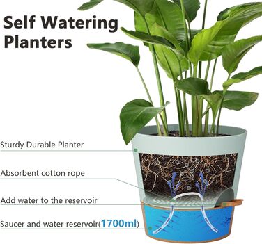 Набір з 2 горщиків для квітів 25.4 см, пластик, з системою поливу, для дому, балкону, саду, сукулентів, кактусів (зелений, коричневий)