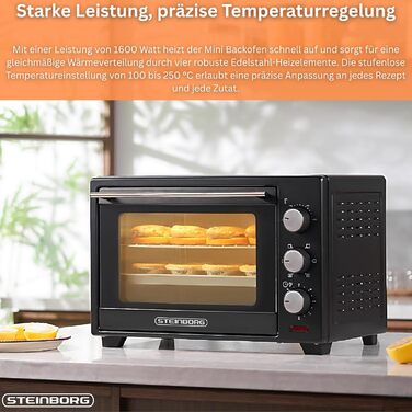 Міні-піч STEINBORG 25л: піч для піци, конвекція, таймер, 1600Вт | Стейнборг