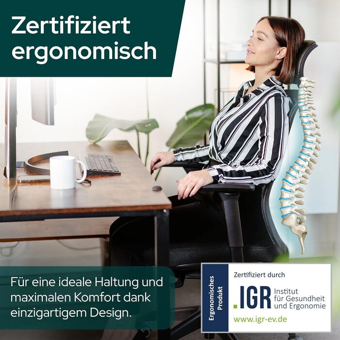 Офісний стіл Schekka® Ergonomisch - ергономічне крісло з регулюванням, підголовником та підтримкою попереку, 3D підлокітники, дихаюча сітка, 150 кг (Світло-сірий/М'ятний)