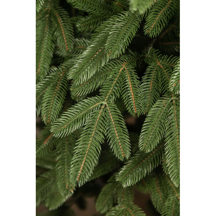 Ялинка лита 'Лапландська' ПАРАСОЛЬКА ЗЕЛЕНА 2,10м