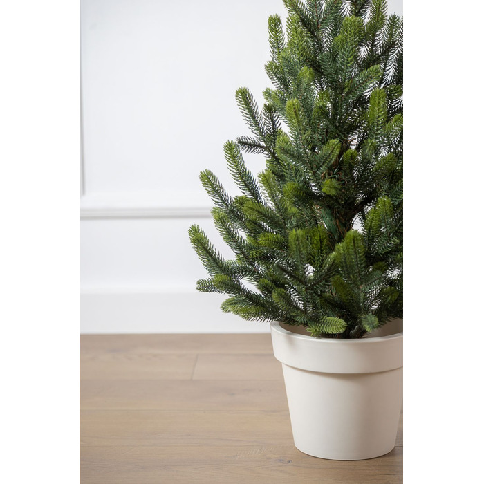 Ялинка лита 'Віденська' в горщику ВЕСНЯНА 0,70м