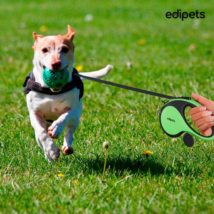 Едіпети, повідець для собак, висувний і висувний, 5 м, 8 м, гнучкий, для тренувань і прогулянок, для маленьких, середніх і великих собак (зелений, 8 метрів) Зелений 8 метрів