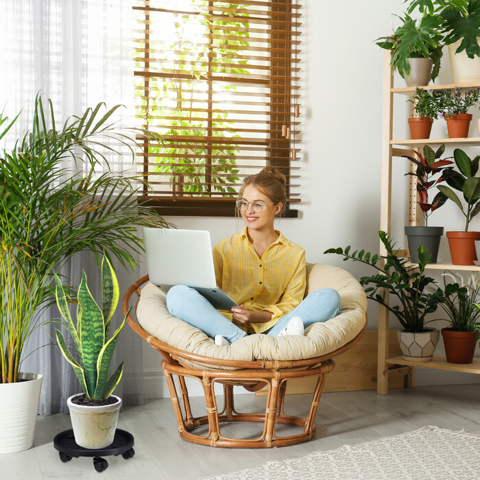 Relaxdays Plant Roller пластиковий невеликий набір з 2 штук