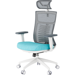 Крісло офісне OfficePro Balance OC550-W-DG-BL