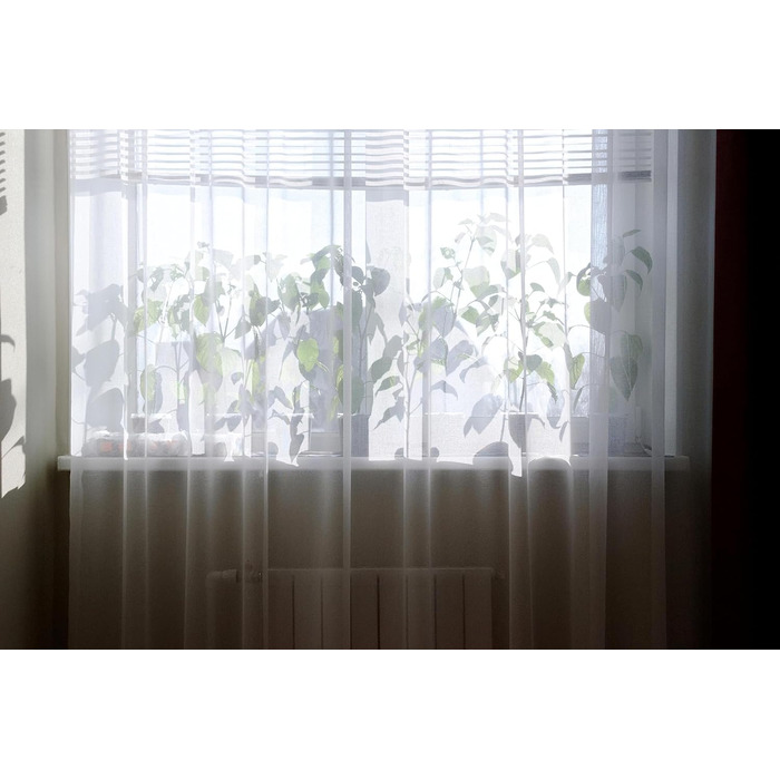 Білі вуалеві штори, напівпрозорі, 240x150 см, інтернет-магазин