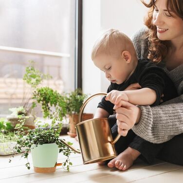Набір горщиків для квітів з автополивом, 6 шт., чорний (зелений+коричневий), різні розміри, для дому та балкона