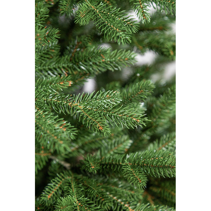 Ялинка лита 'Альпійська' ПАРАСОЛЬКА ЗЕЛЕНА 2,50м