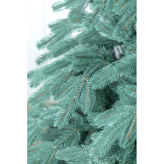 Ялинка лита 'Лапландська' ПАРАСОЛЬКА БЛАКИТНА 1,50м