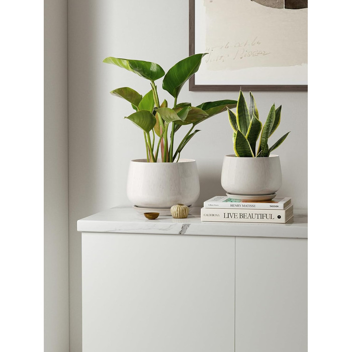 Керамічні горщики LE TAUCI з підставкою, 10+13+16 см, набір 3 шт. для кімнатних рослин, з дренажним отвором, бежева реактивна глазур