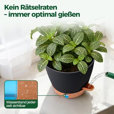 Набір 4 самополивні горщики T4U 15 см з індикатором рівня води, для дому та саду, чорний