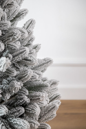 Ялинка лита 'Лапландська' в горщику ЗАСНІЖЕНА 0,70м