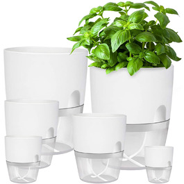 Набір горщиків для трав на кухню, самополив, 3 шт. для свіжих кухонних трав, 18.2x11x15.3 см (білий)