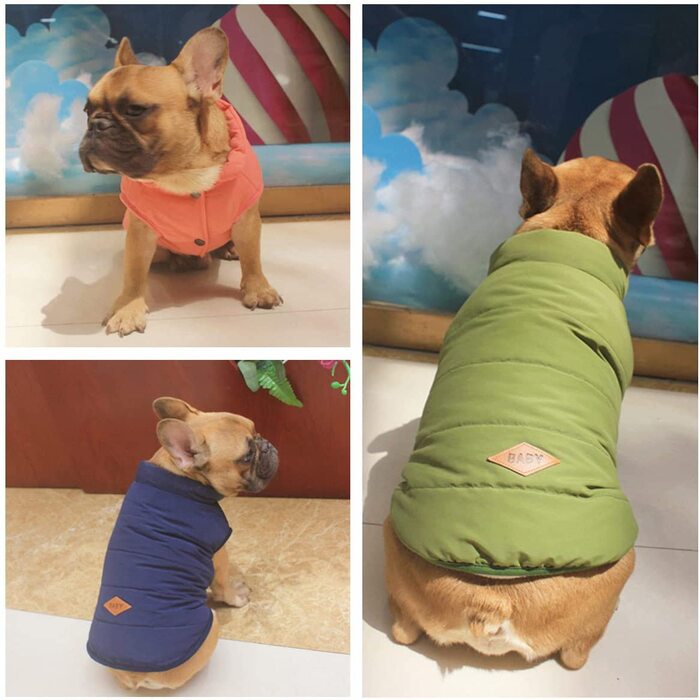 Одяг для собак PENIVO, зимові теплі пальто і куртки, жилет для цуценят, одяг для маленьких і середніх собак, Пуховий одяг (l, синя)