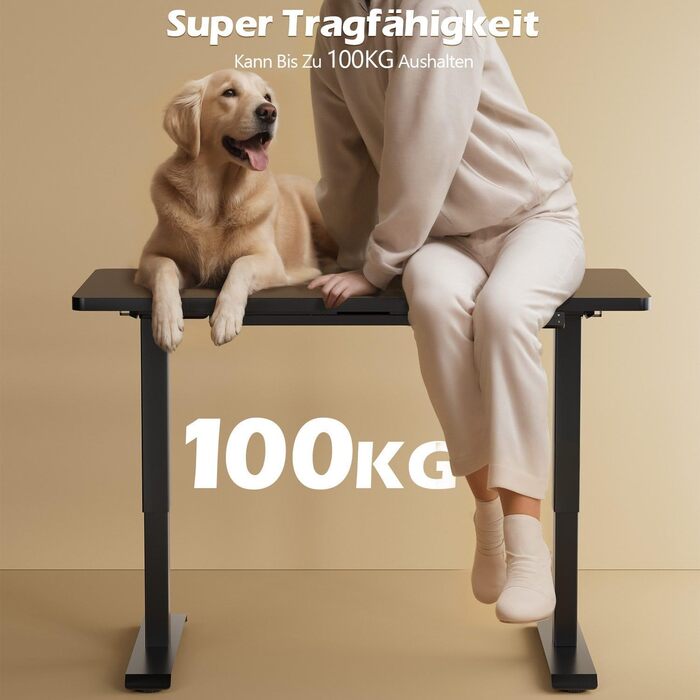 Регульований стіл JUMMICO з 2 моторами, чорний. Стільниця з USB-портами, 3 рівня пам'яті