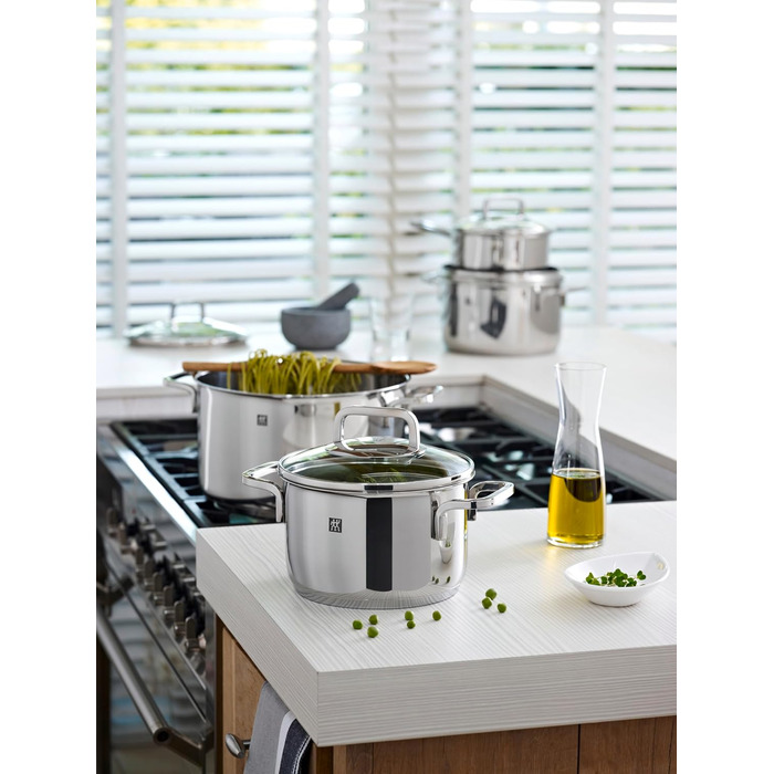 Набір каструль ZWILLING Quadro 5-ти з нержавіючої сталі, без покриття, 4 скляні кришки, підходить для індукційних плит