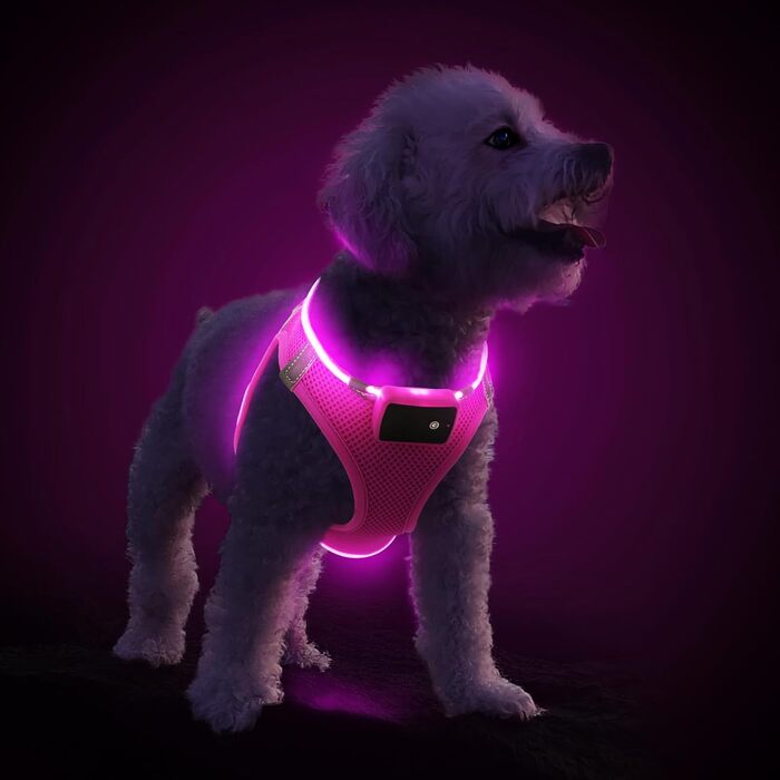 Нагрудна шлейка для собак PcEoTllar зі світлодіодним підсвічуванням (M, рожева)