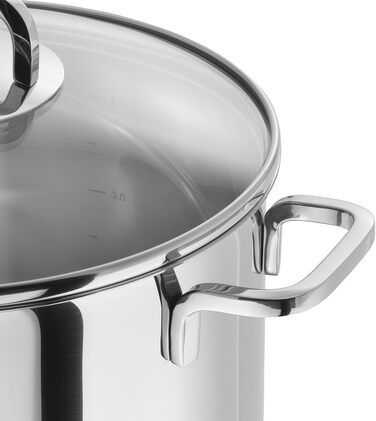 Набір каструль ZWILLING Quadro 5-ти з нержавіючої сталі, без покриття, 4 скляні кришки, підходить для індукційних плит