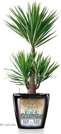 Горщик Lechuza Classico Premium 21 LS Комплект, Білий (70x70x64.5 см, Тауп Глянцевий, Однотонний)