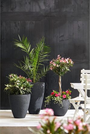 Ваза для квітів Dehner Vino | Кашпо, горщик для квітів | для кімнатних та садових рослин | сучасний, круглий, стійкий, міцний | рифлена поверхня | для використання в приміщенні та на вулиці | пластик | антрацит | Ø 40 см, висота 60 см