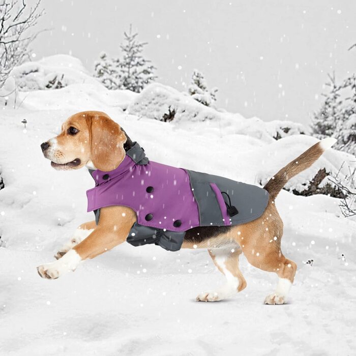 Зимова куртка для собак PETTLOFT, Світловідбиваюча водонепроникна зимова куртка для собак вітрозахисна тепла флісова куртка для активного відпочинку зимова куртка для собак зі знімною флісовою підкладкою (XS, Фіолетовий) XS Фіолетовий