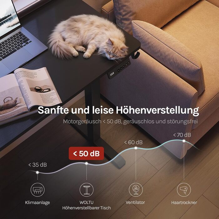 Електричний регульований по висоті письмовий стіл WOLTU з функцією пам'яті та захистом від зіткнень, комп'ютерний стіл для дому та офісу, чорний, 120 x 60 см