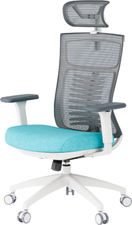 Крісло офісне OfficePro Balance OC550-W-DG-BL