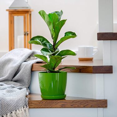 Набір горщиків для квітів KADAX (3 шт.) – зелений, 20/23 см | Пластикові горщики для дому, підвіконня, кімнатні рослини та трави