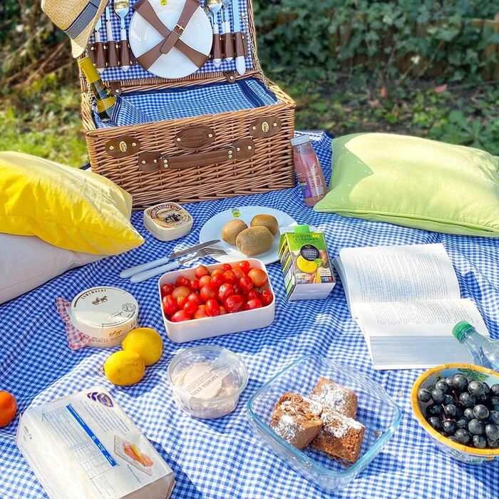 Ковдра для пікніка Les Jardins de la Comtesse, квадрат, гінгем, бавовна та водонепроникна спинка, поліестер, 140 x 140 см, синій/білий, 2/4 особи, ковдра для пікніка, складна