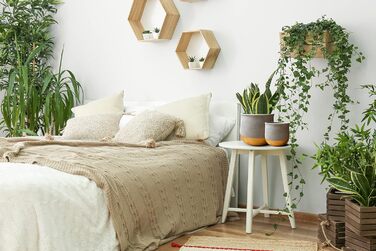 Набір керамічних горщиків Olly & Rose Gold Dip: 17 см + 12 см, для дому та саду, золотий декор