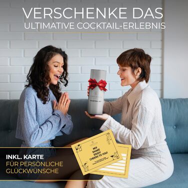 Набір для коктейлів Cobbler 700мл з нержавіючої сталі, без розливання, професійний шейкер для коктейлів з підставкою та книгою рецептів, набір для барменів (Classic Set, сріблястий)