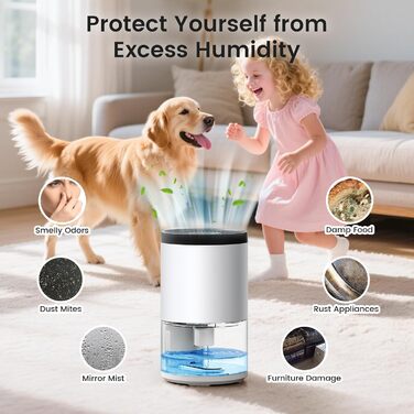 Електричний осушувач повітря без контейнера, 1000 мл, компактний, тихий, з автовимкненням, портативний, для офісу, спальні, ванної кімнати, білий