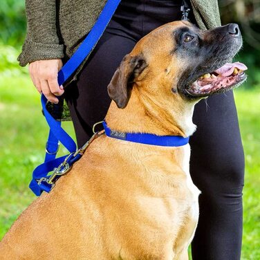 Собака КУРИ ПАЙ Одна для великих міцних собак, з декількома кріпленнями, 3 м (1,5 м - 2,8 м) подвійна одна (шириною 2,5 см) для двох собак, виготовлена з бамбука (l, синього кольору), зручна для догляду.